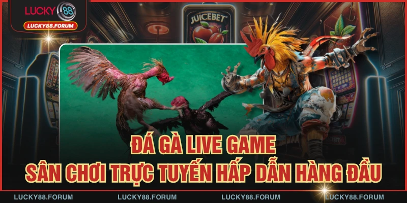 Đá Gà Live Game