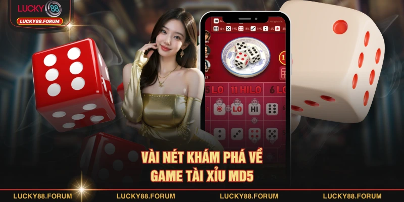 Vài nét khám phá về game tài xỉu MD5